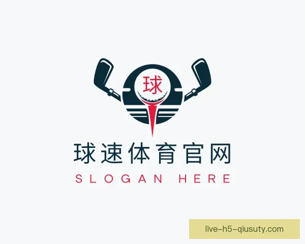 关于球速游戏娱乐